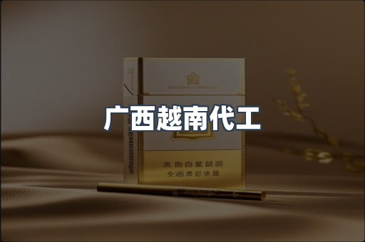 广西越南代工